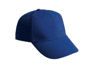 6 Panel Heavy Brush Cap