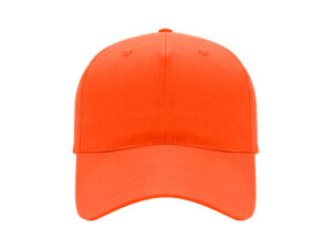 6 Panel Promo Cap