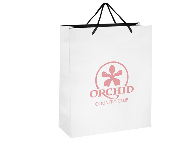 Altitude Dazzle Midi Paper Gift Bag - Image 5