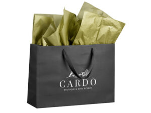 Altitude Ritz Maxi Paper Gift Bag