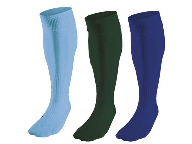 BRT Team Sock - Image 3