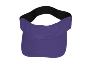 Birds Eye Visor