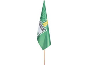 Champion Large Hand Flag 900Mm X 600Mm