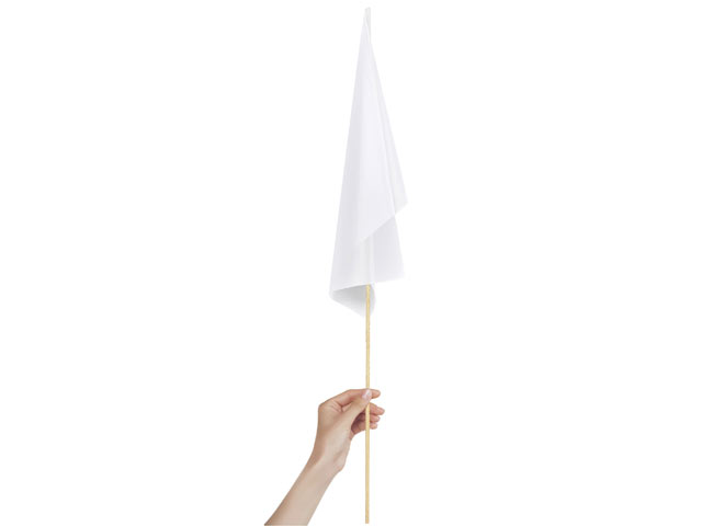 Champion Medium Hand Flag 450Mm X 300Mm - Image 2