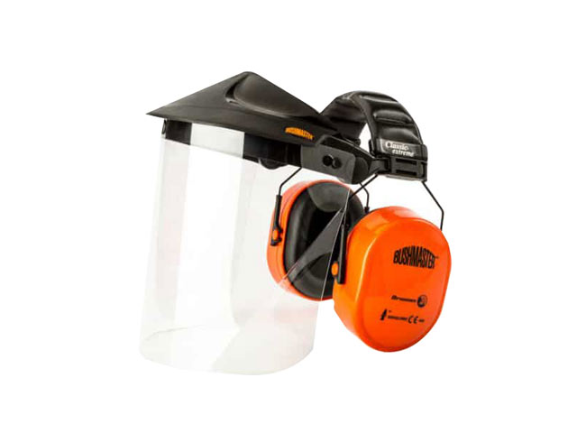 Face Shield and Hearing