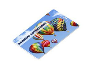 Picasso Flash Drive - 8Gb