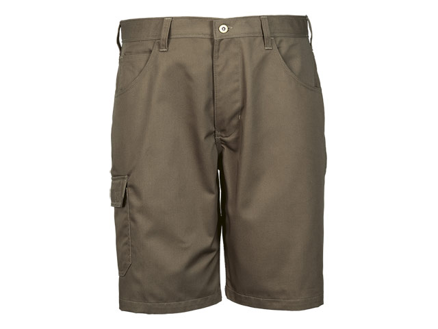 Rogue Shorts - Image 3