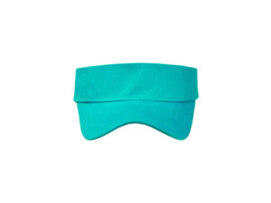 Sunvisor