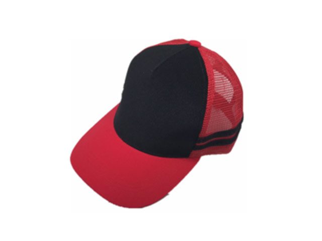 V-Trucker Cap - Image 3