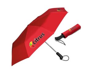 Whimsical Auto-Open Compact Umbrella
