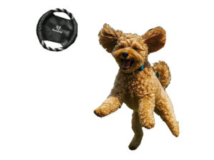 Altitude Catch Pet Frisbee